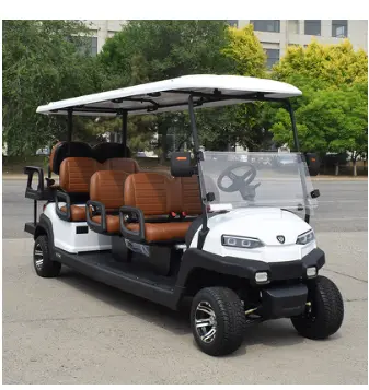 Carrito de golf - 8 Seater golf cart (Z6C)