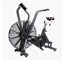 Rogue Echo bike V3.0